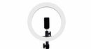 VORAGO 11 ANILLO DE LUZ GAME FACTOR LED PARA BLOGERS LRG300