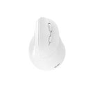 MOUSE ACTECK VIRTUOS FITT MI520 / ERGONOMICO / VERTICAL / INALAMBRICO / DUAL BLUETOOTH ADAPTADOR USB / 2400 DPI / RECARGABLE / BLANCO / AC-936231