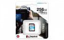 MEMORIA KINGSTON SDXC CANVAS GO! PLUS 170RC10 UHS-I U3 V30(SDG3/256GB)